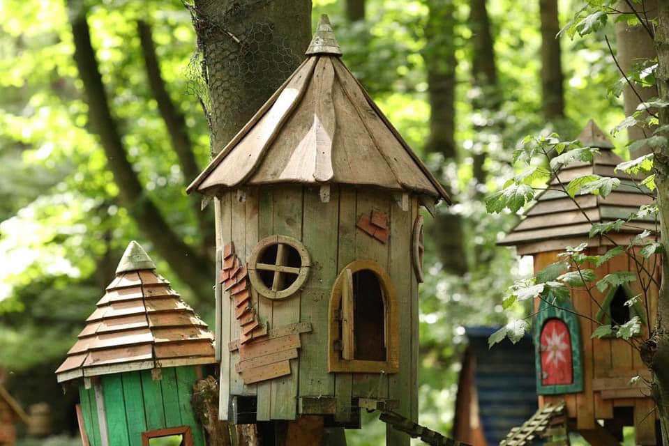 Close-up of fairy tree houses in a lush forest