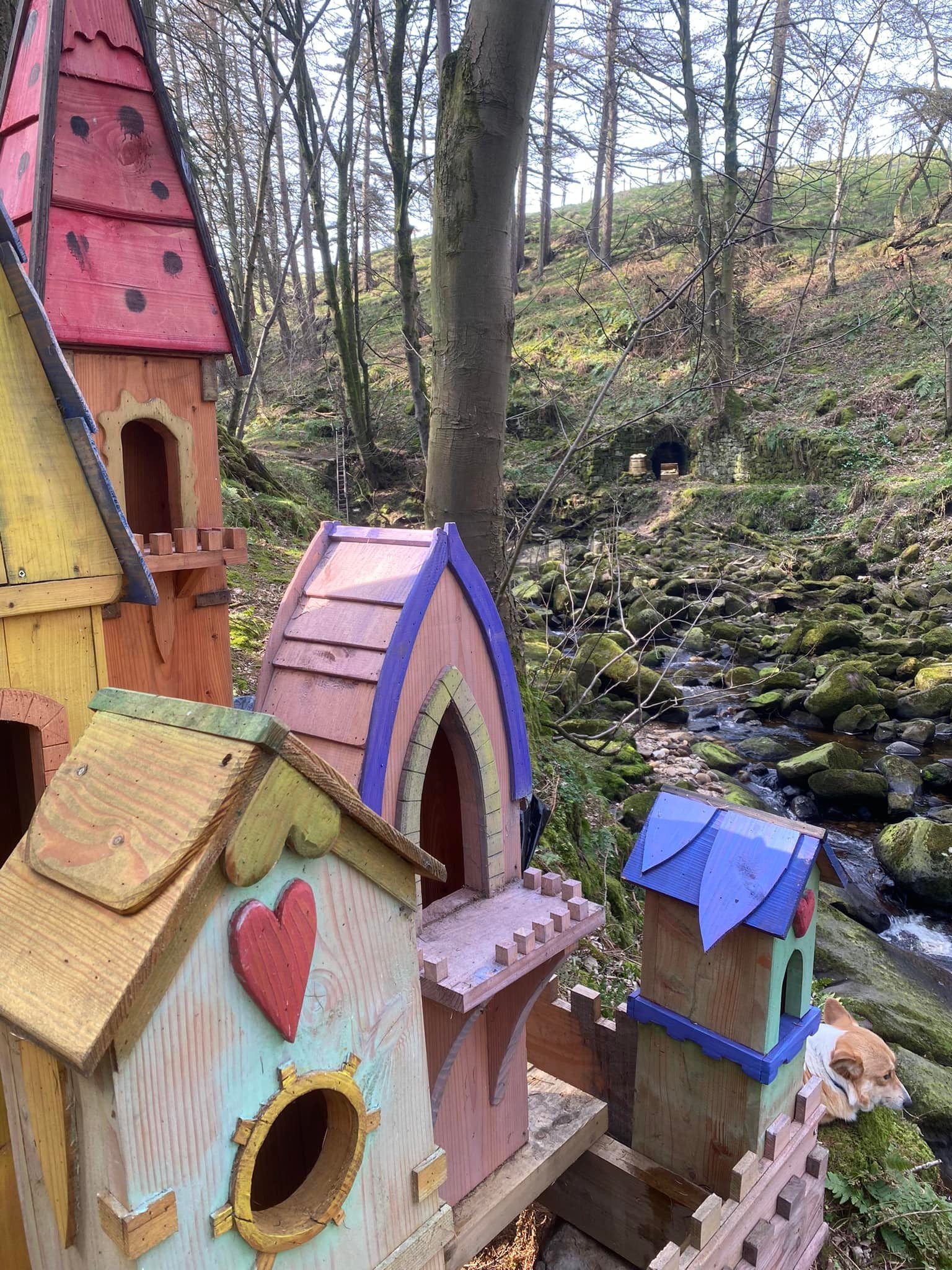 Maisons de fées dans les arbres