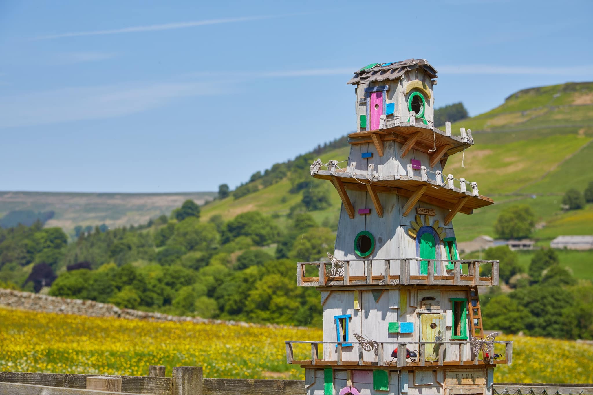 Maisons de fées dans les arbres