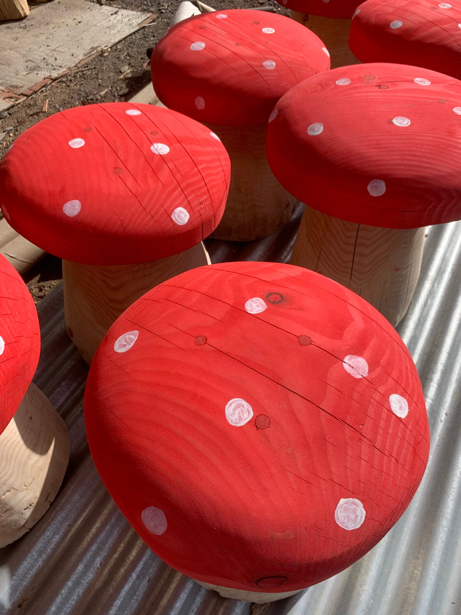 Close-up of red mushroom stools with spots