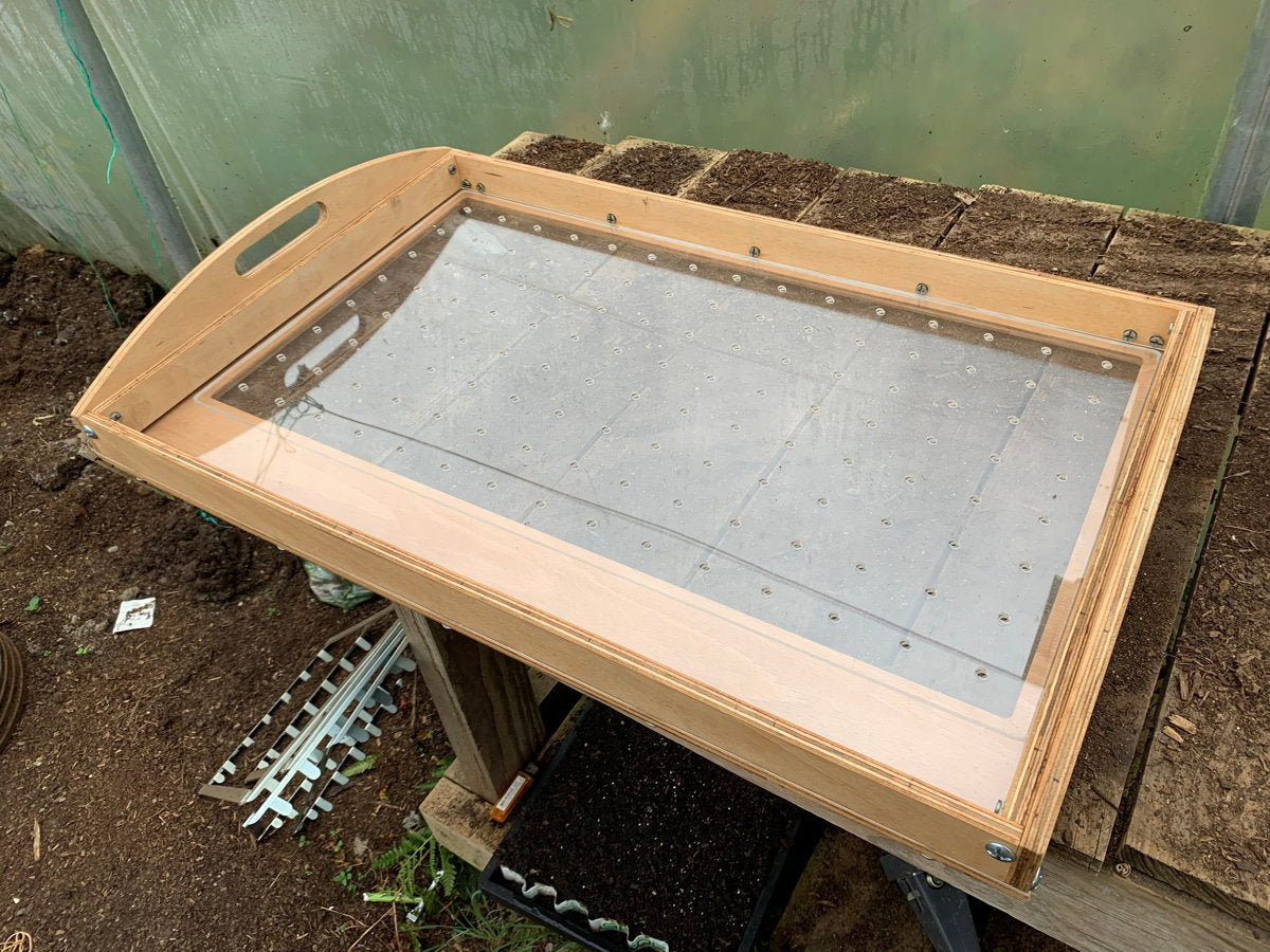 Seed sowing tray placed on wooden table in greenhouse