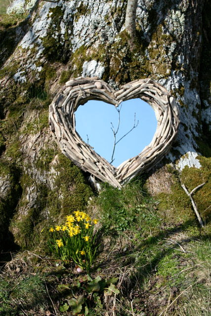 Driftwood heart mirror against tree with flowers