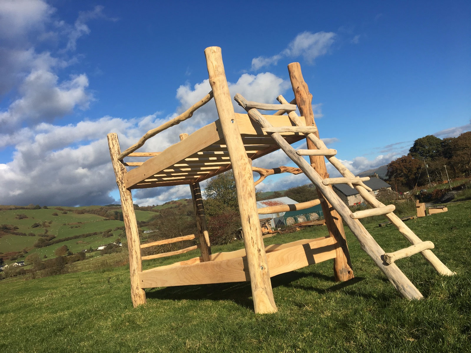 Natural driftwood bunk bed with rustic ladder