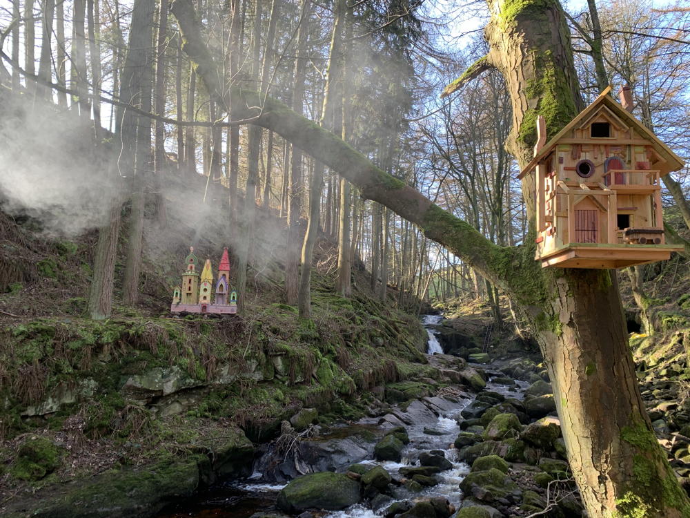 Fairy house on a tree branch near a stream